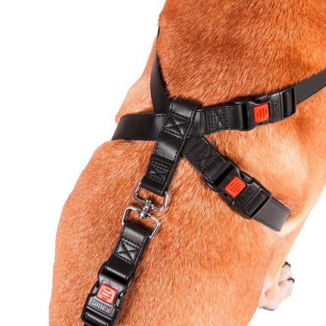 1031147-var-2_s5a3-q0