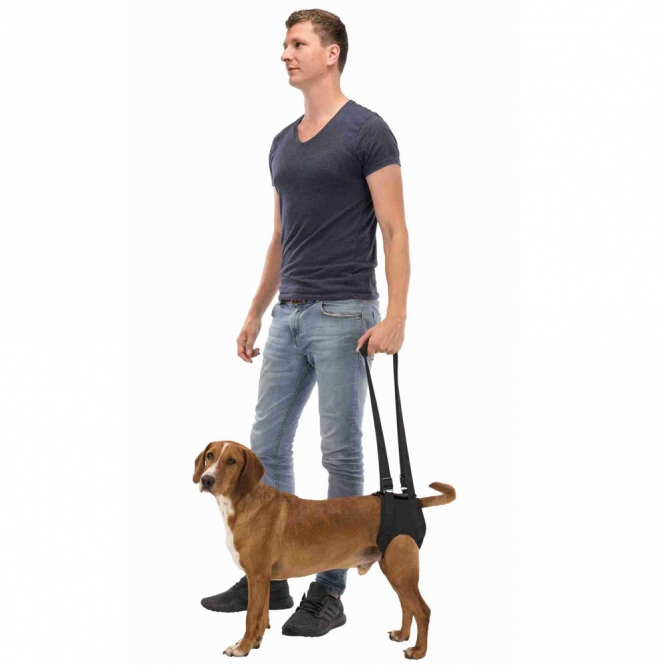 19406-trxi-1_r2ft-5e-2